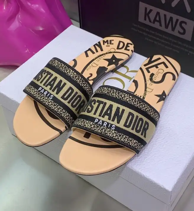 hype Christian Dior Slippers