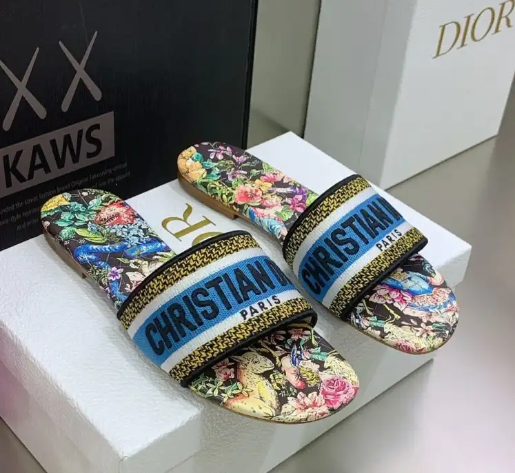 hype Christian Dior Slippers