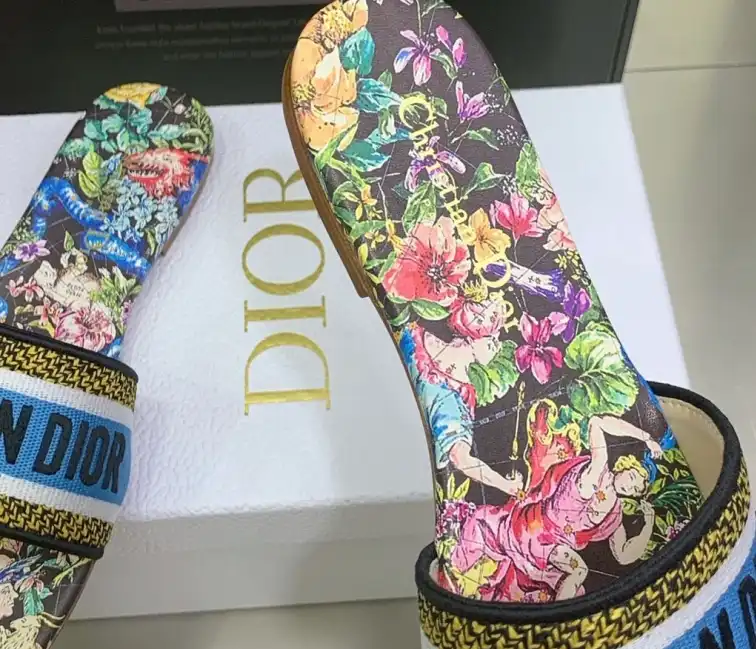 hype Christian Dior Slippers