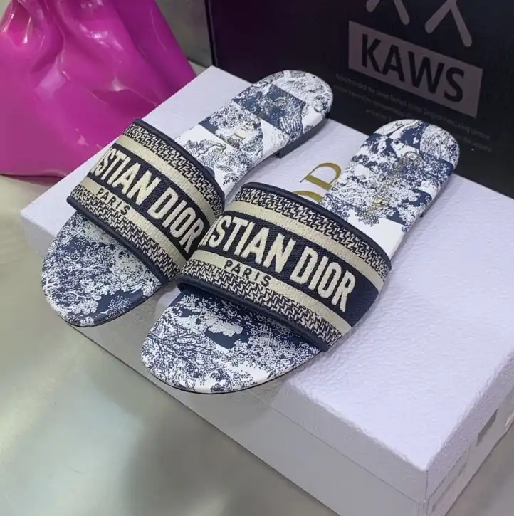 hype Christian Dior Slippers