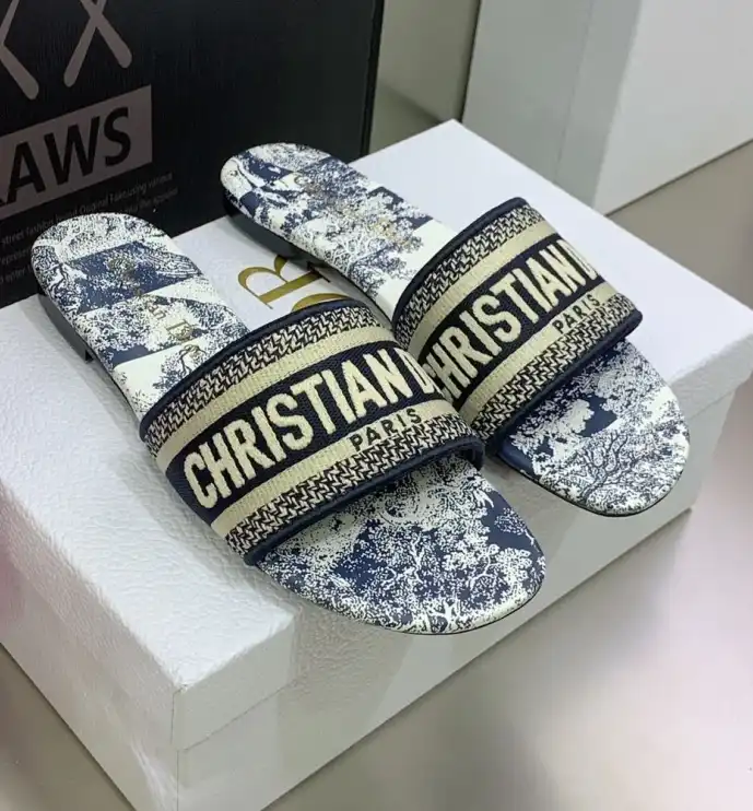 hype Christian Dior Slippers