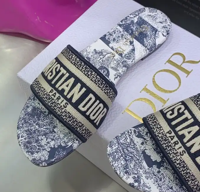 hype Christian Dior Slippers