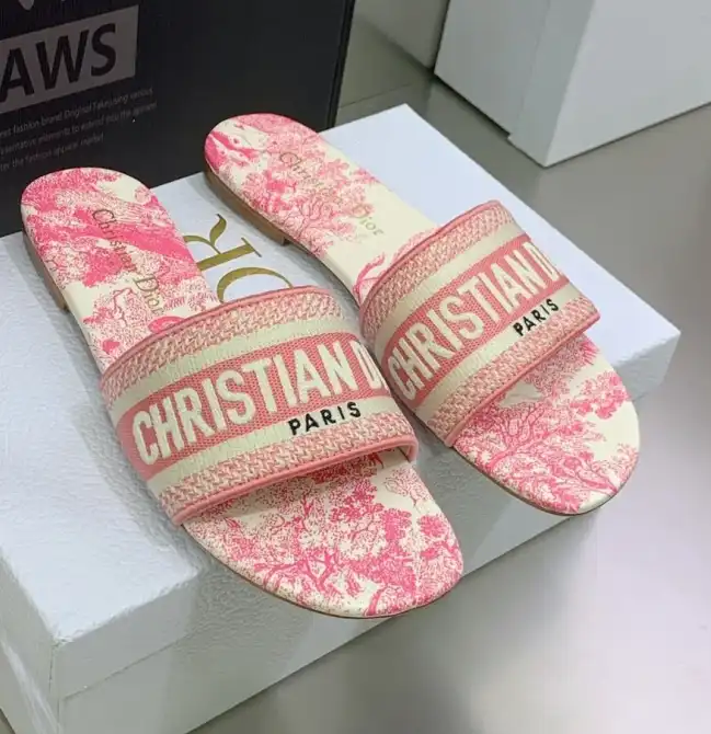 hype Christian Dior Slippers