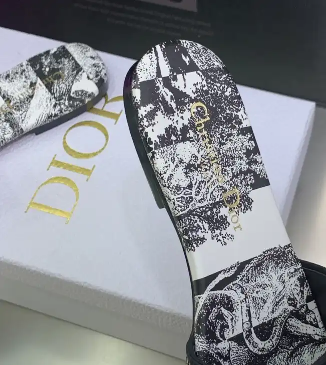 hype Christian Dior Slippers