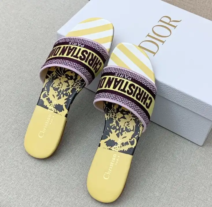 hype Christian Dior Slippers