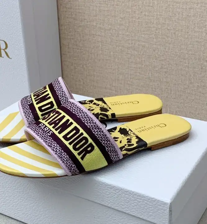 hype Christian Dior Slippers