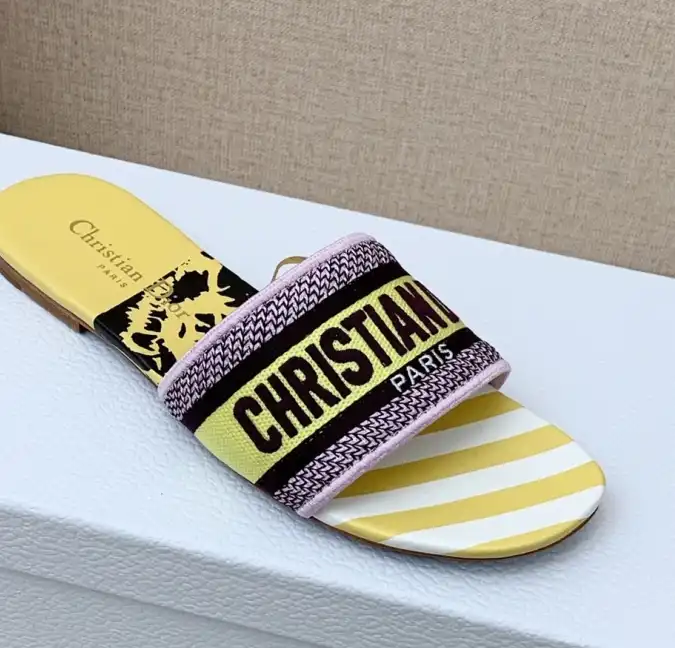 hype Christian Dior Slippers