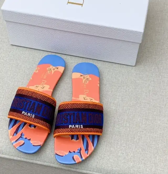 hype Christian Dior Slippers