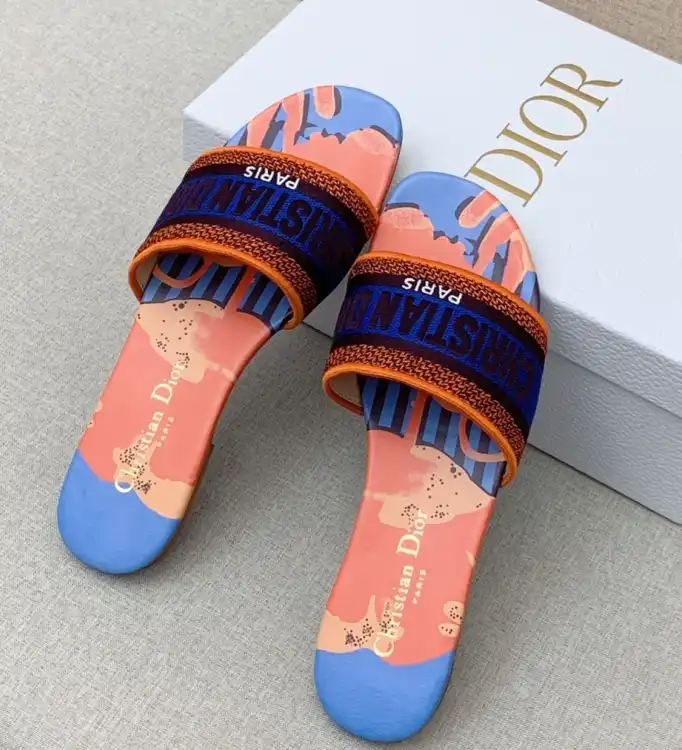 hype Christian Dior Slippers