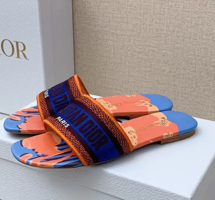 hype Christian Dior Slippers