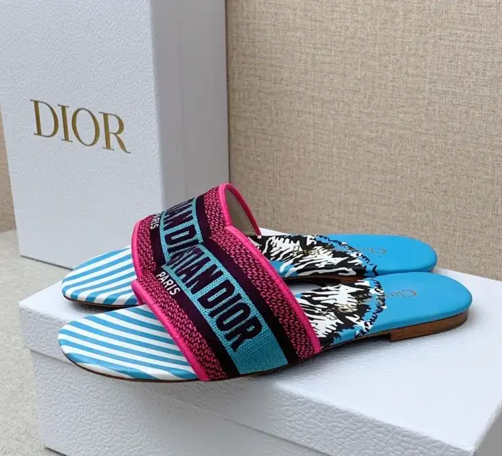 hype Christian Dior Slippers