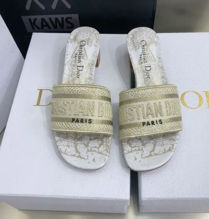 hype Christian Dior Slippers