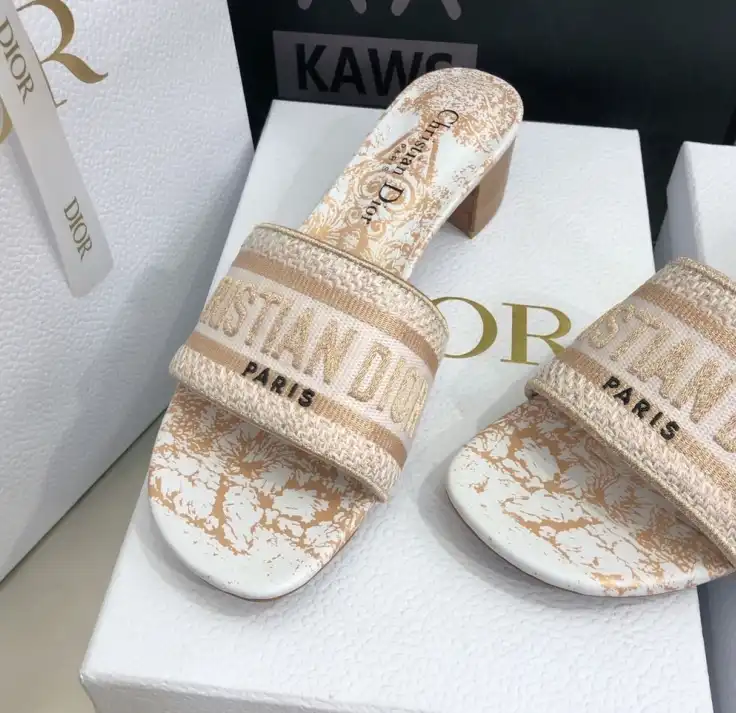 hype Christian Dior Slippers