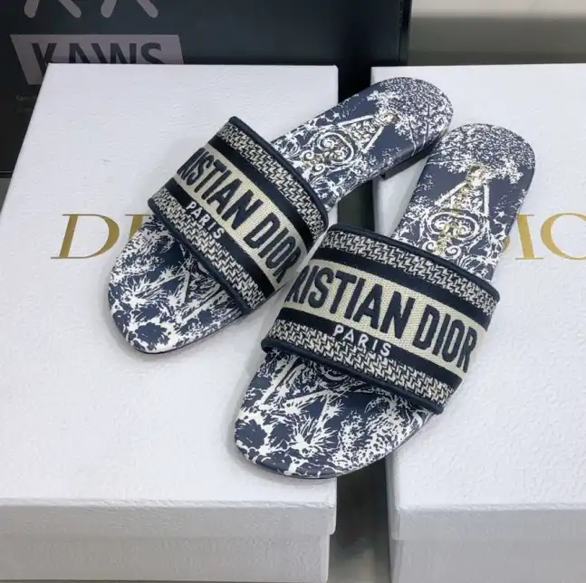 hype Christian Dior Slippers