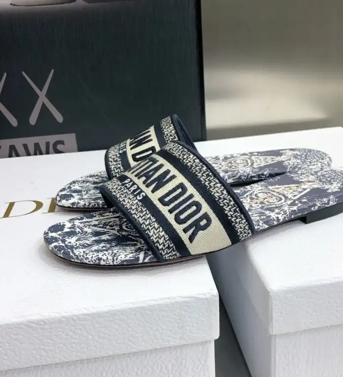 hype Christian Dior Slippers