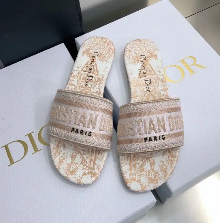 hype Christian Dior Slippers