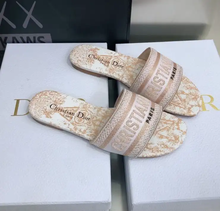 hype Christian Dior Slippers