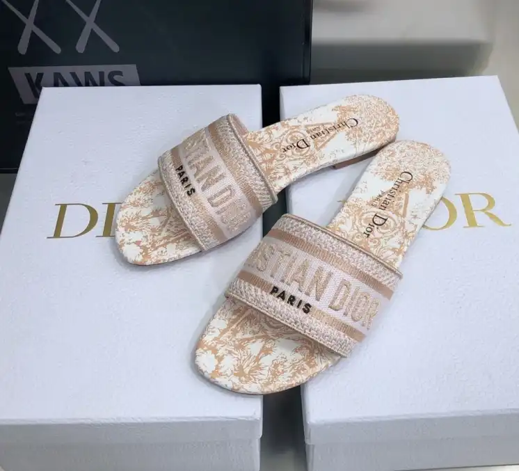 hype Christian Dior Slippers