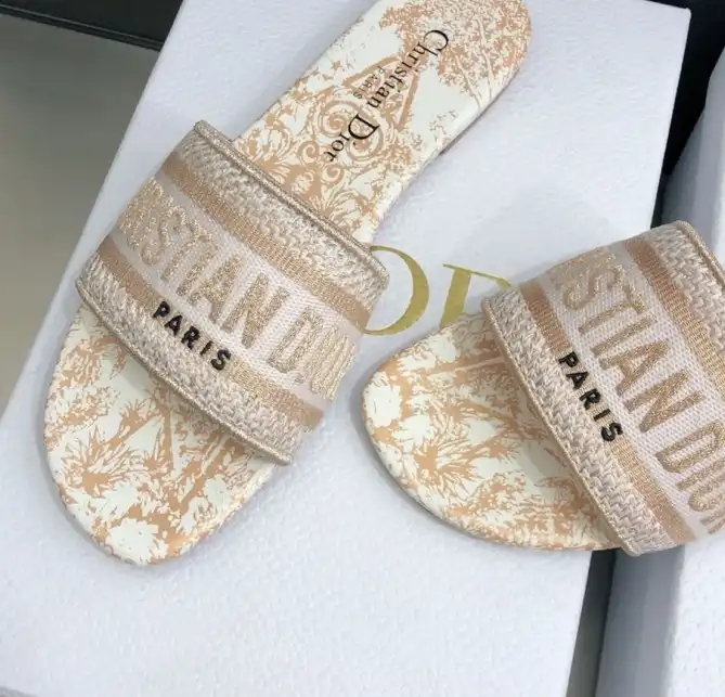 hype Christian Dior Slippers