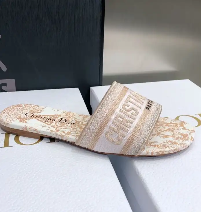 hype Christian Dior Slippers