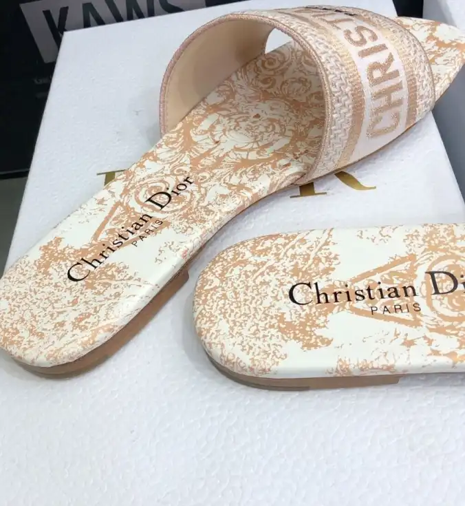 hype Christian Dior Slippers