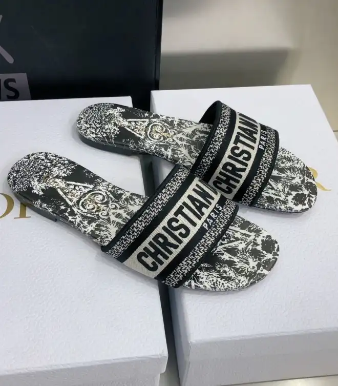 hype Christian Dior Slippers