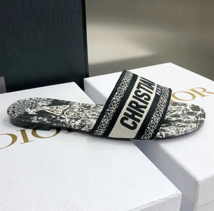 hype Christian Dior Slippers