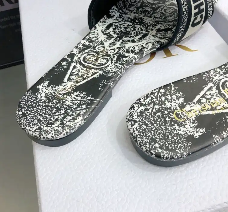 hype Christian Dior Slippers