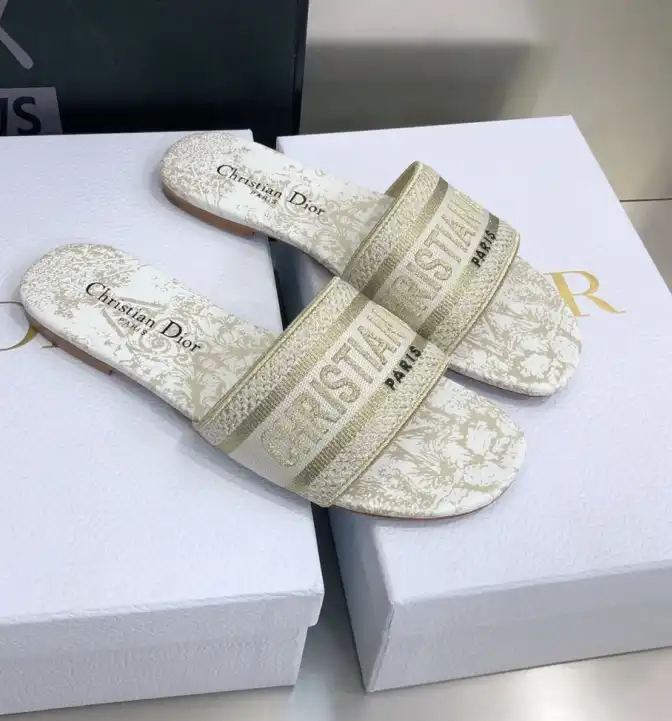 hype Christian Dior Slippers