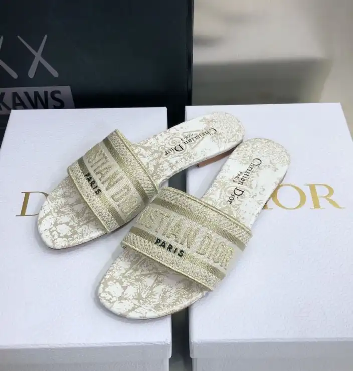 hype Christian Dior Slippers