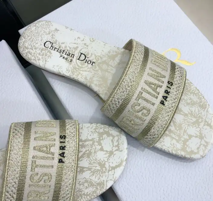 hype Christian Dior Slippers