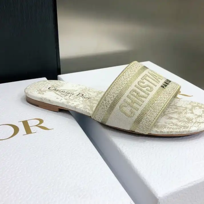 hype Christian Dior Slippers