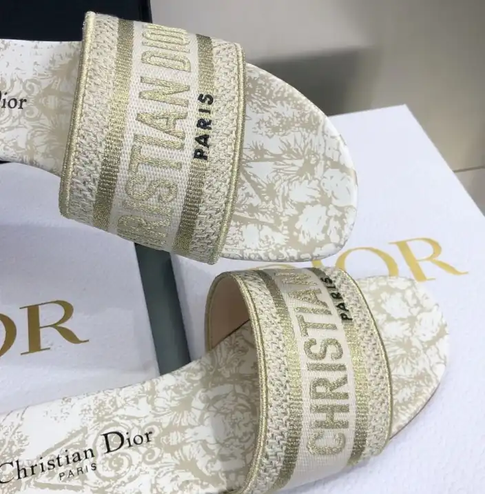 hype Christian Dior Slippers