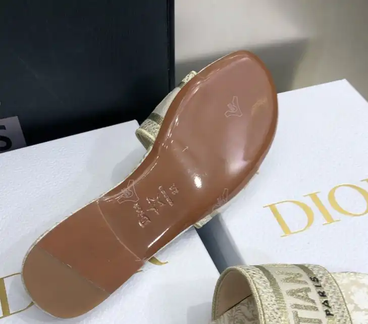 hype Christian Dior Slippers