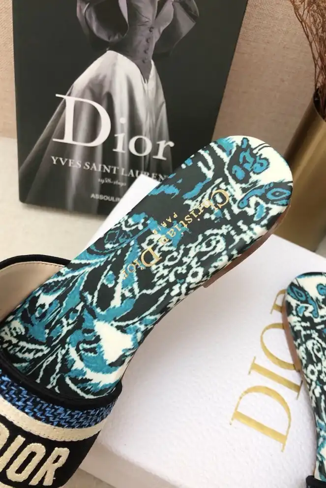 hype Christian Dior Slippers