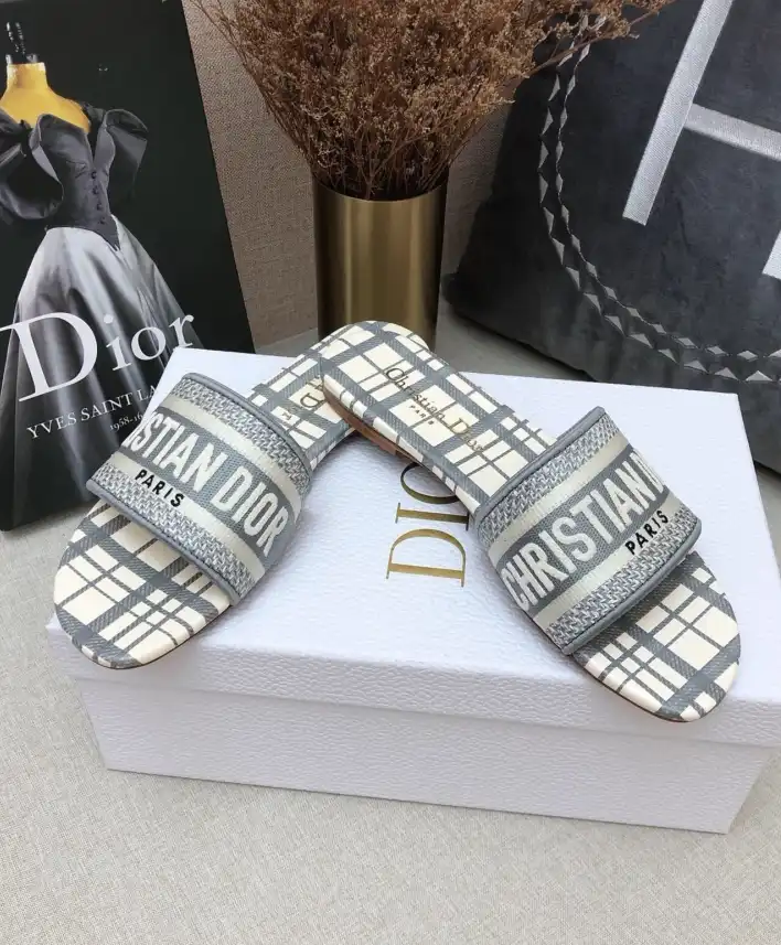 hype Christian Dior Slippers