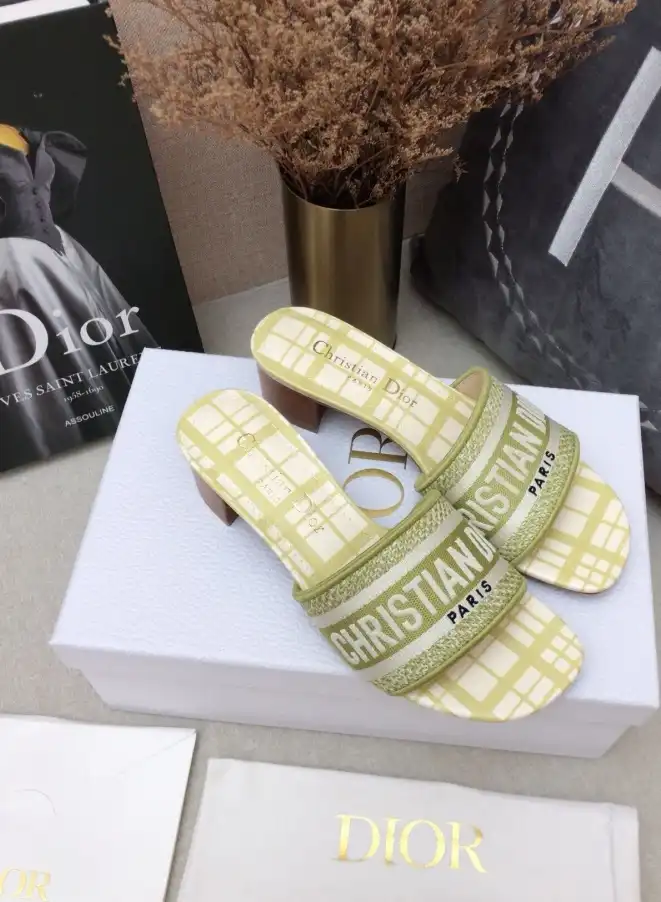 hype Christian Dior Slippers