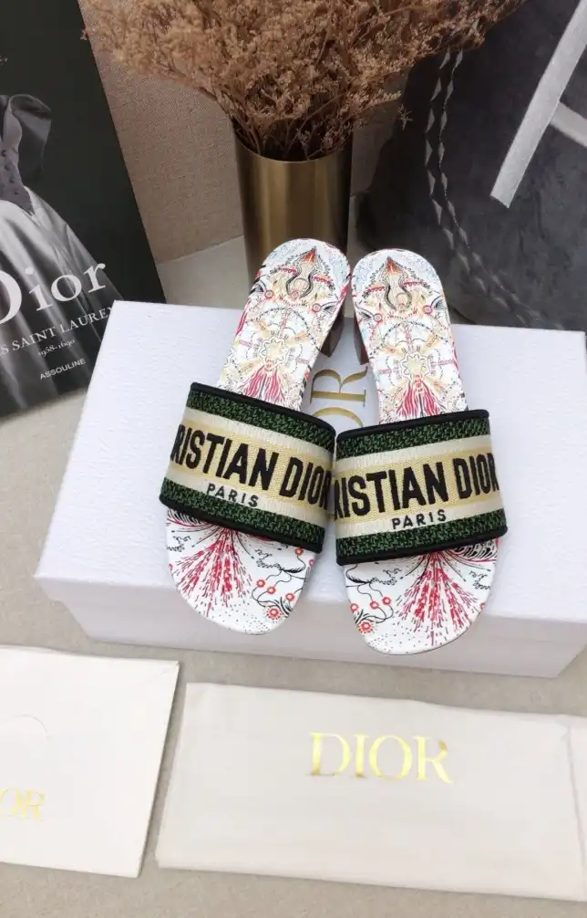 hype Christian Dior Slippers