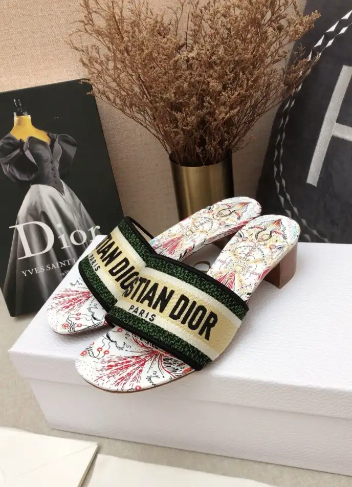 hype Christian Dior Slippers