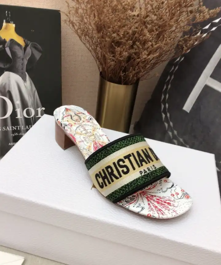 hype Christian Dior Slippers