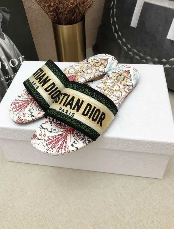 hype Christian Dior Slippers