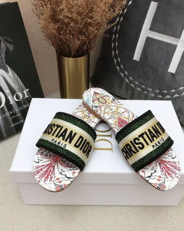 hype Christian Dior Slippers