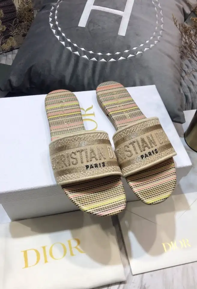 hype Christian Dior Slippers