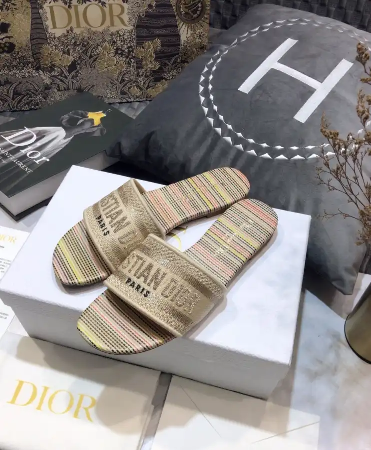 hype Christian Dior Slippers