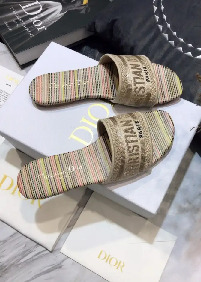 hype Christian Dior Slippers