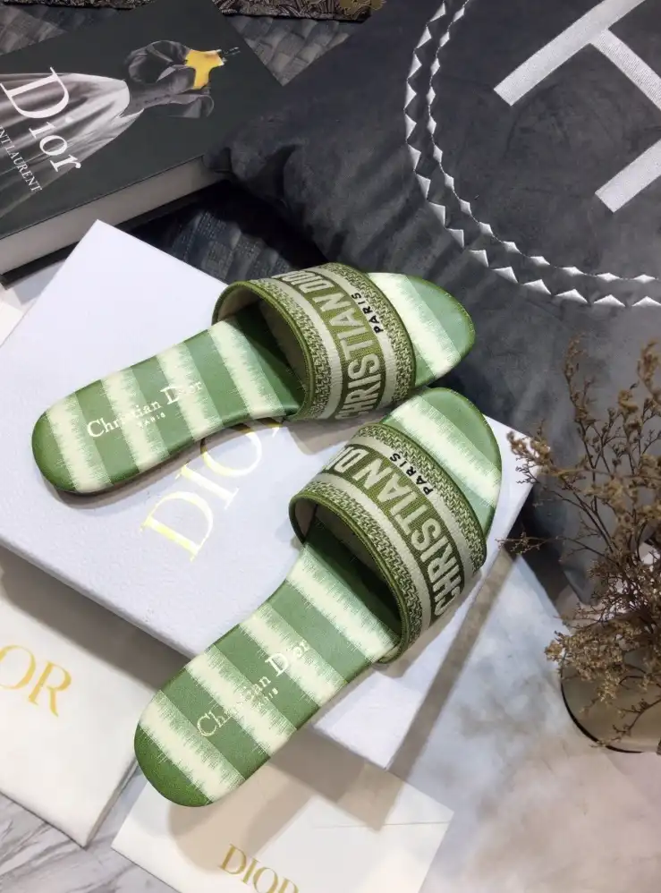 hype Christian Dior Slippers