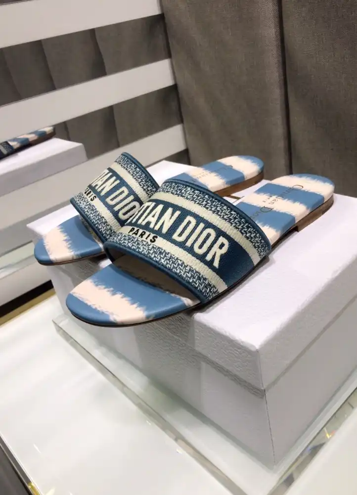 hype Christian Dior Slippers