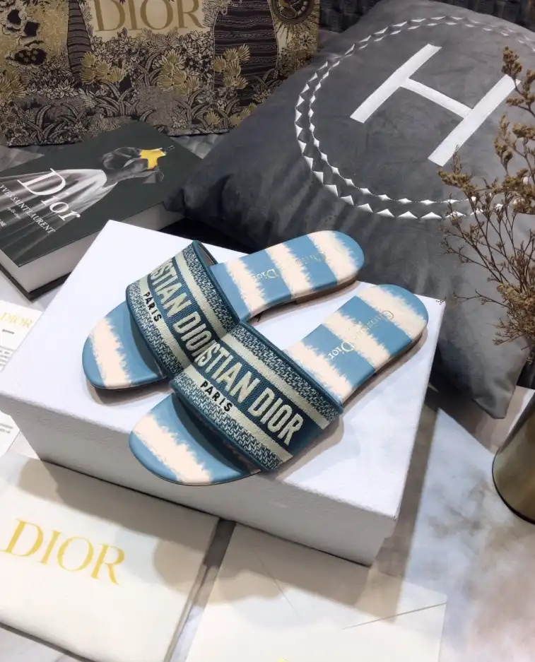 hype Christian Dior Slippers