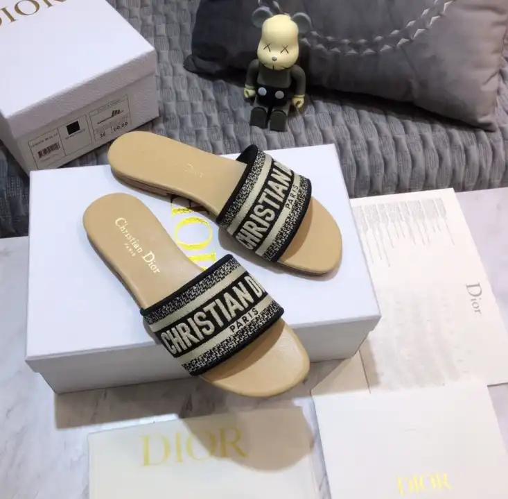 hype Christian Dior Slippers