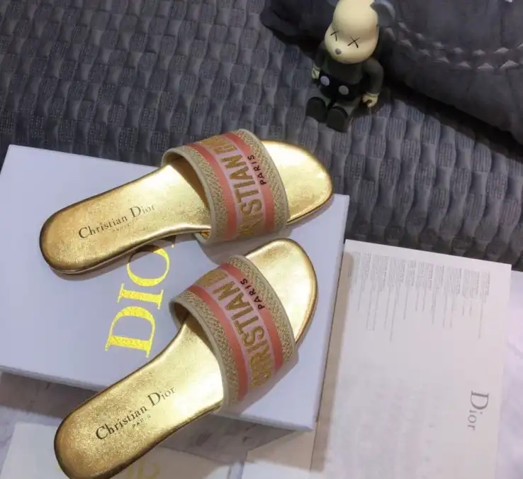 hype Christian Dior Slippers